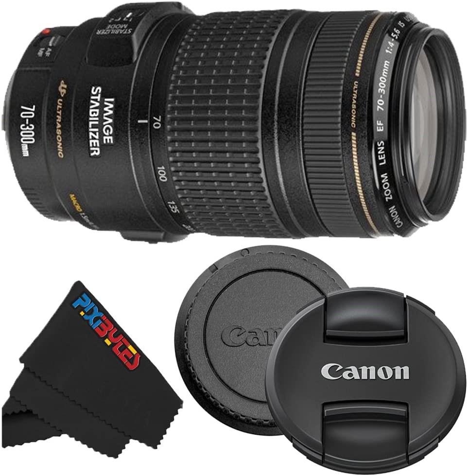 Best Walk Around Lens For Canons Cameras