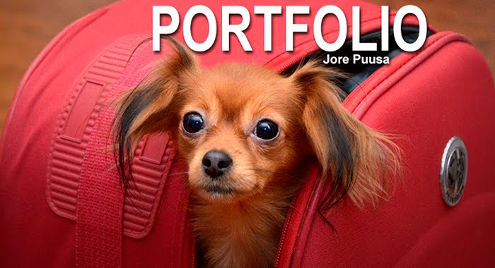 Jore Puusa portfolio ja cv