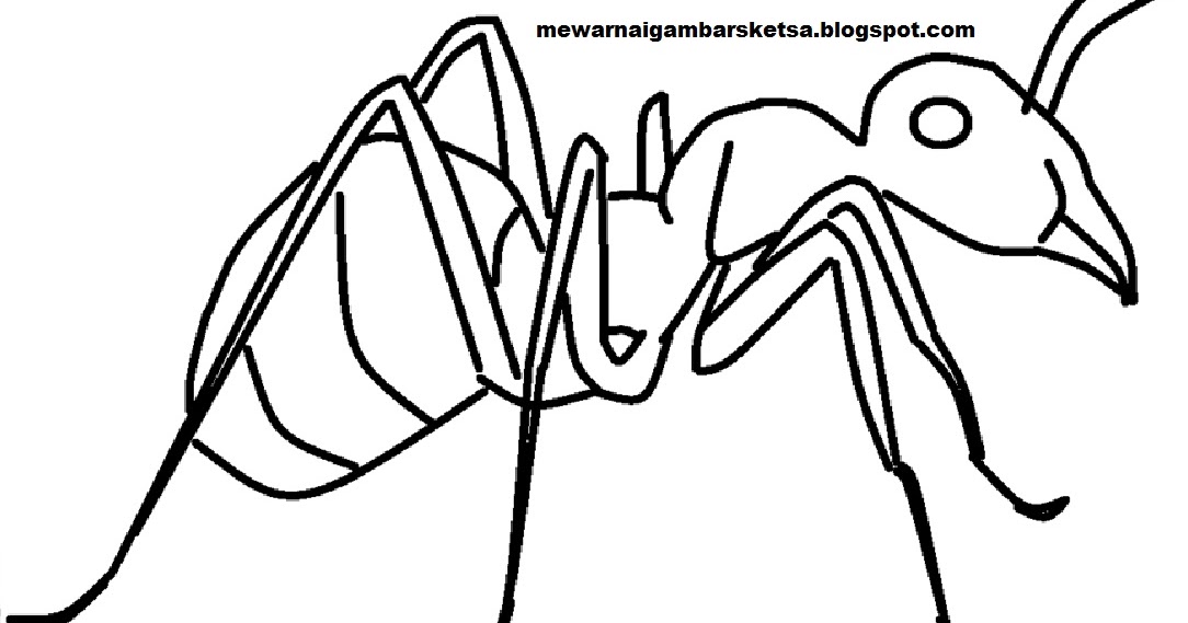 87 Gambar Kartun Binatang Semut Hd Terbaru Gambar Hewan