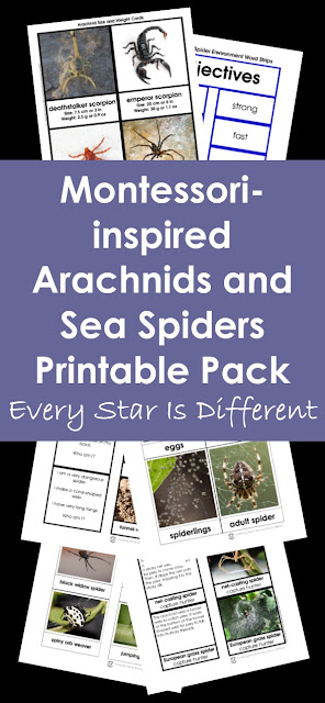 Montessori-inspired Arachnids and Sea Spiders Printable Pack