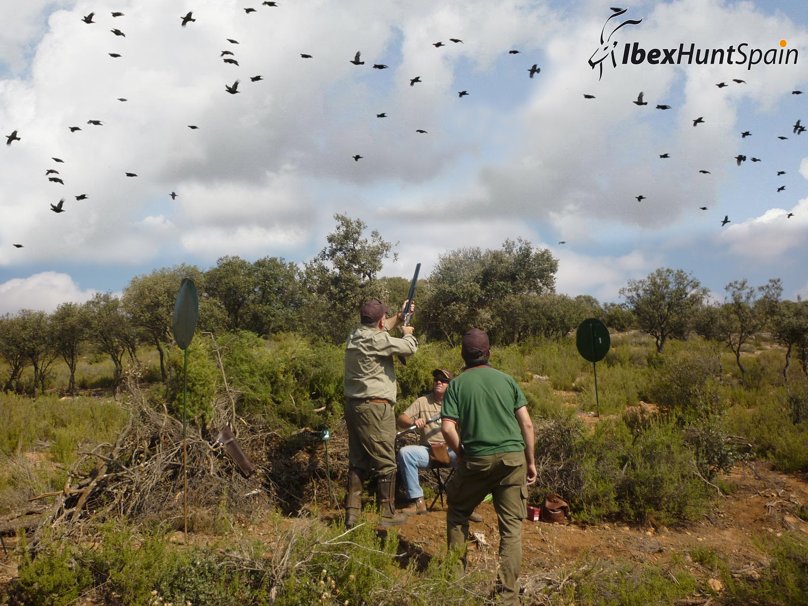 Spanish Ibex Hunts Ibex Hunting in Spain Driven Partridges Spanish