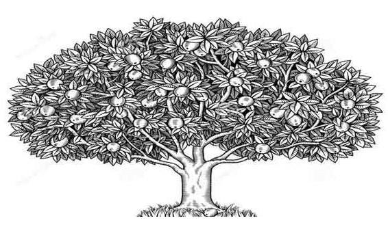 Mangga gambar psikotes pohon Gambar Pohon