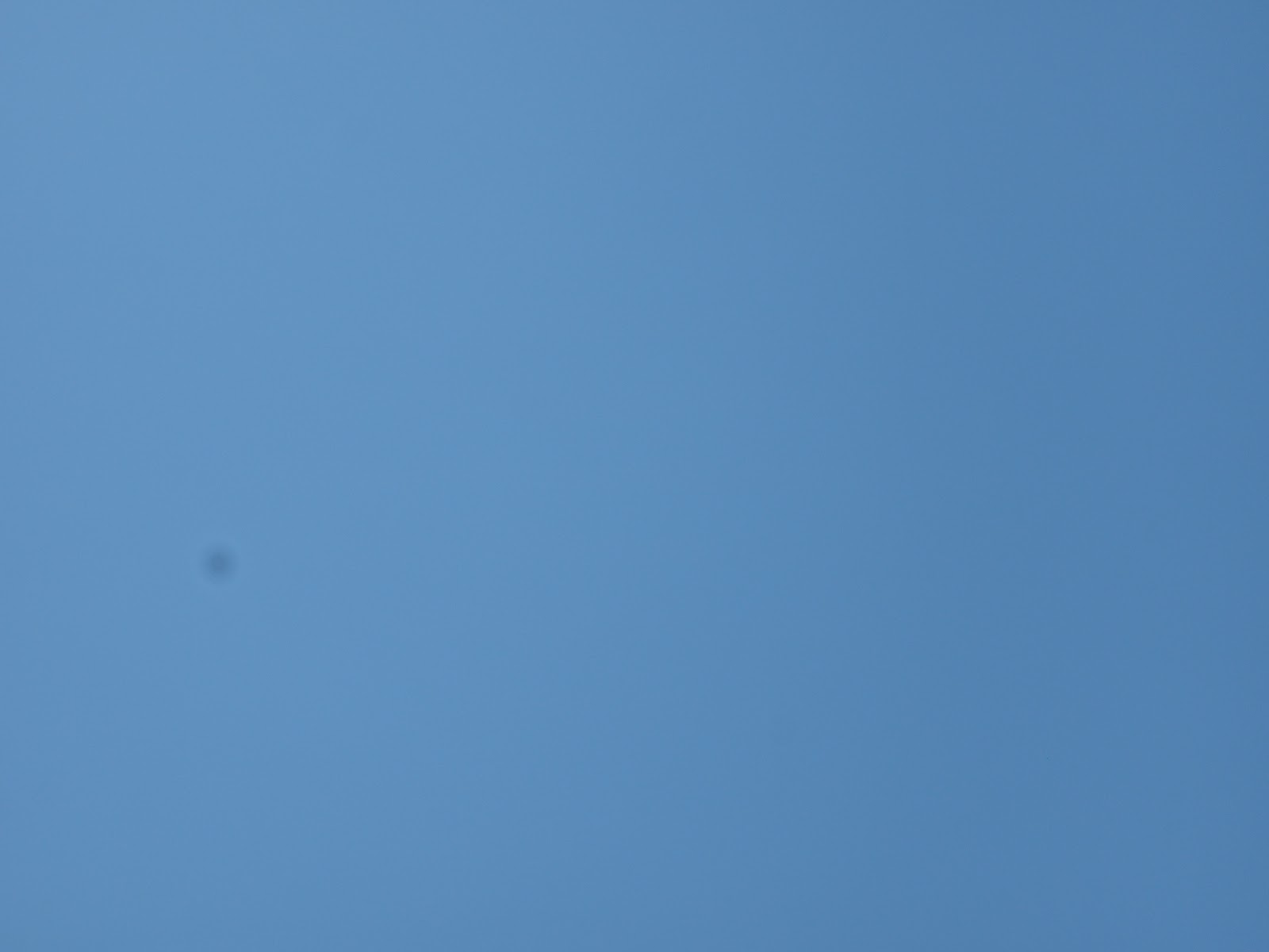 F11.JPG