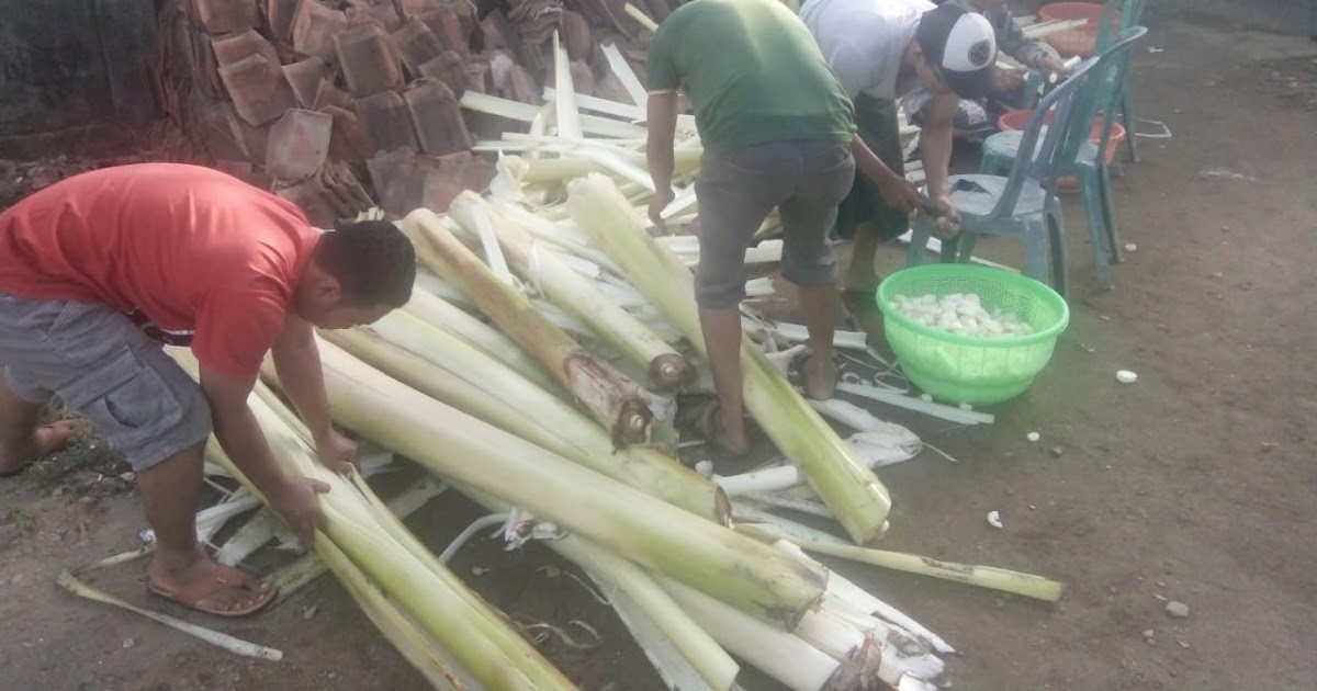 Dari Obati Batu Ginjal Hingga Sembuhkan Diabetes, Inilah