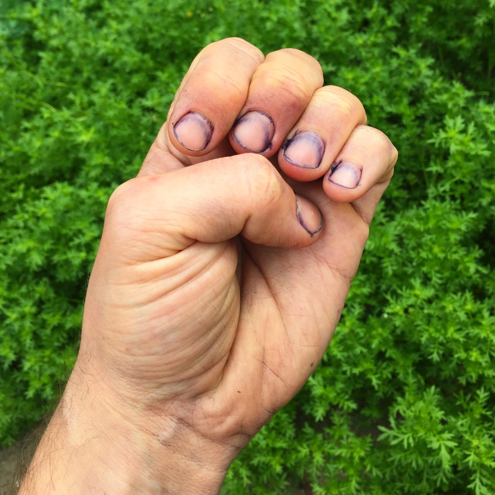 Back of the Cereal Box Tilda. Come.”