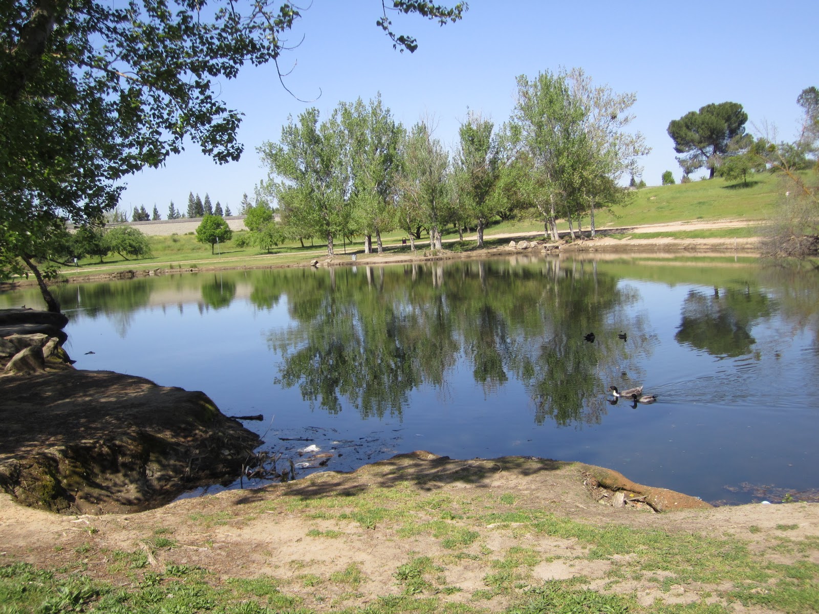 Life in Central California Woodward Park