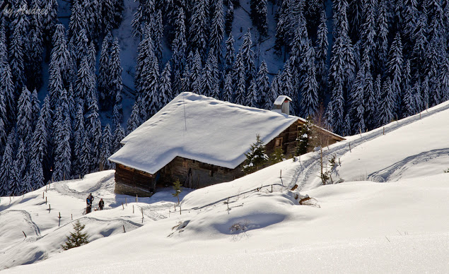 Mont Rond Aravis Mont Blanc Alpii Francezi