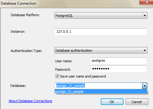 Postgres database user password