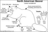 Frightening Food: Leave It to Beaver