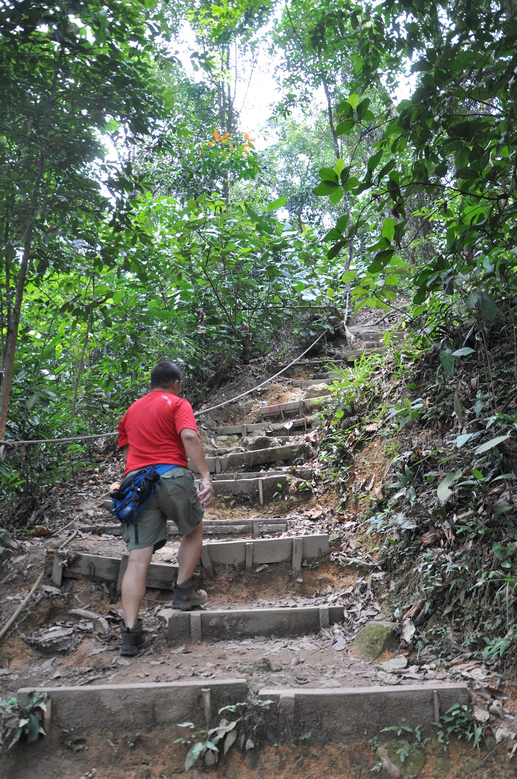 Sungai Siput Boy Hiking Taman Pendidikan Bukit Gasing Bukit Gasing