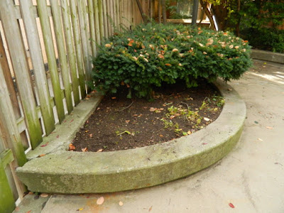Toronto Garden District Garden Cleanup After by Paul Jung Gardening Services--a Toronto Gardening Services Company Toronto Garden District Garden Cleanup After by Paul Jung Gardening Services--a Toronto Gardening Services Company