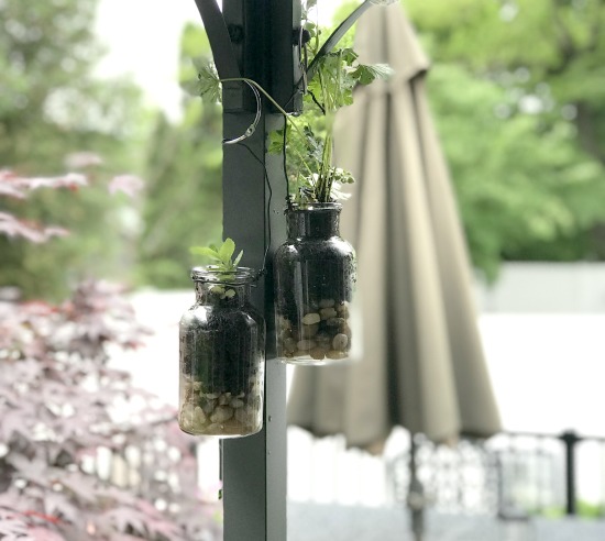 How to Make Hanging Terrarium Planters