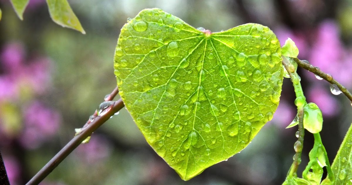 Kumpulan Puisi Terbaru : Rintik Kehidupan - Bisnis Dan Pendidikan