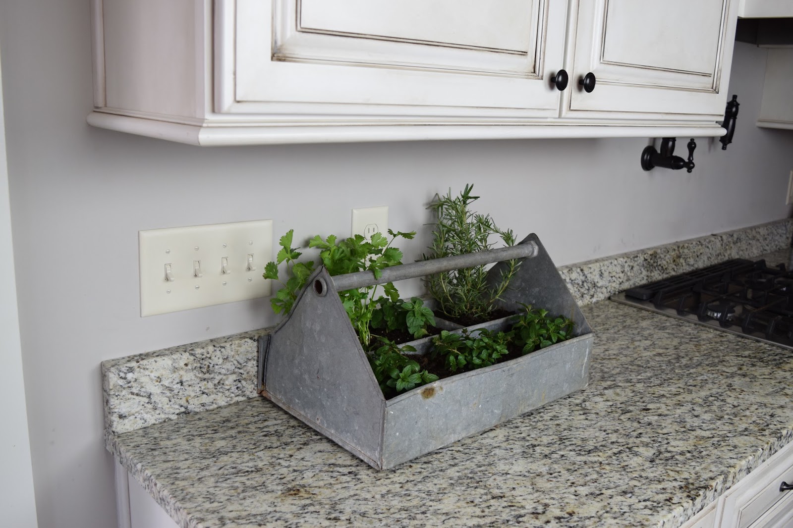 Farm to Fête Easy Countertop Herb Garden
