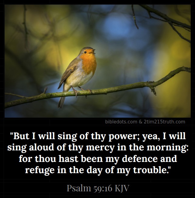 2 Timothy 2 15 Truth Verse Of The Day Psalm 59 16 KJV 2 Timothy 2 15 Truth Verse Of The Day Psalm 59 16 KJV