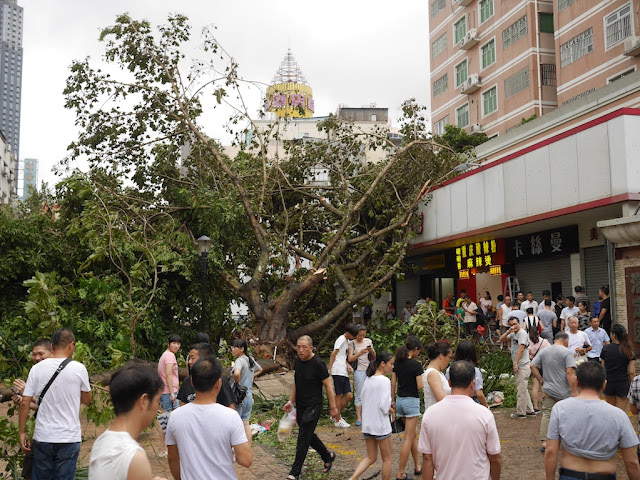 damage from Typhoon Hato at the Lianhua Road Pedestrian Street in Zhuhai, China