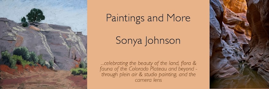 Paintings and More by Sonya