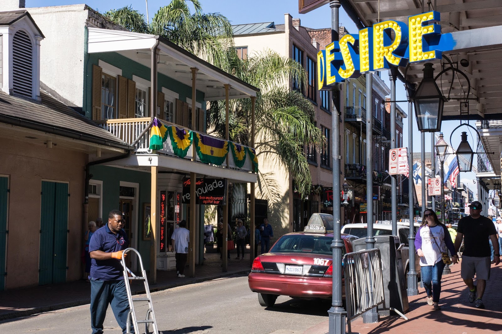 Buffalo and Beyond Bourbon Street & Bienville Street, New Orleans, LA