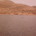 Ένα δελφίνι στον κόλπο (καλοκαίρι του ΄83)
