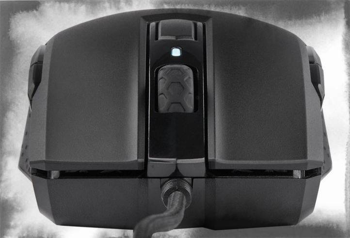 Inexpensive symmetric mouse Corsair M55 RGB Pro Inexpensive symmetric mouse Corsair M55 RGB Pro