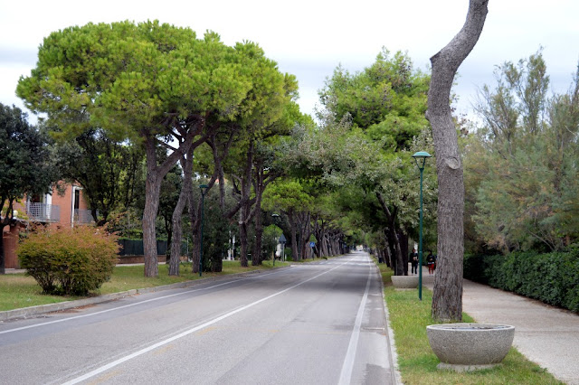 cosa vedere al lido di venezia