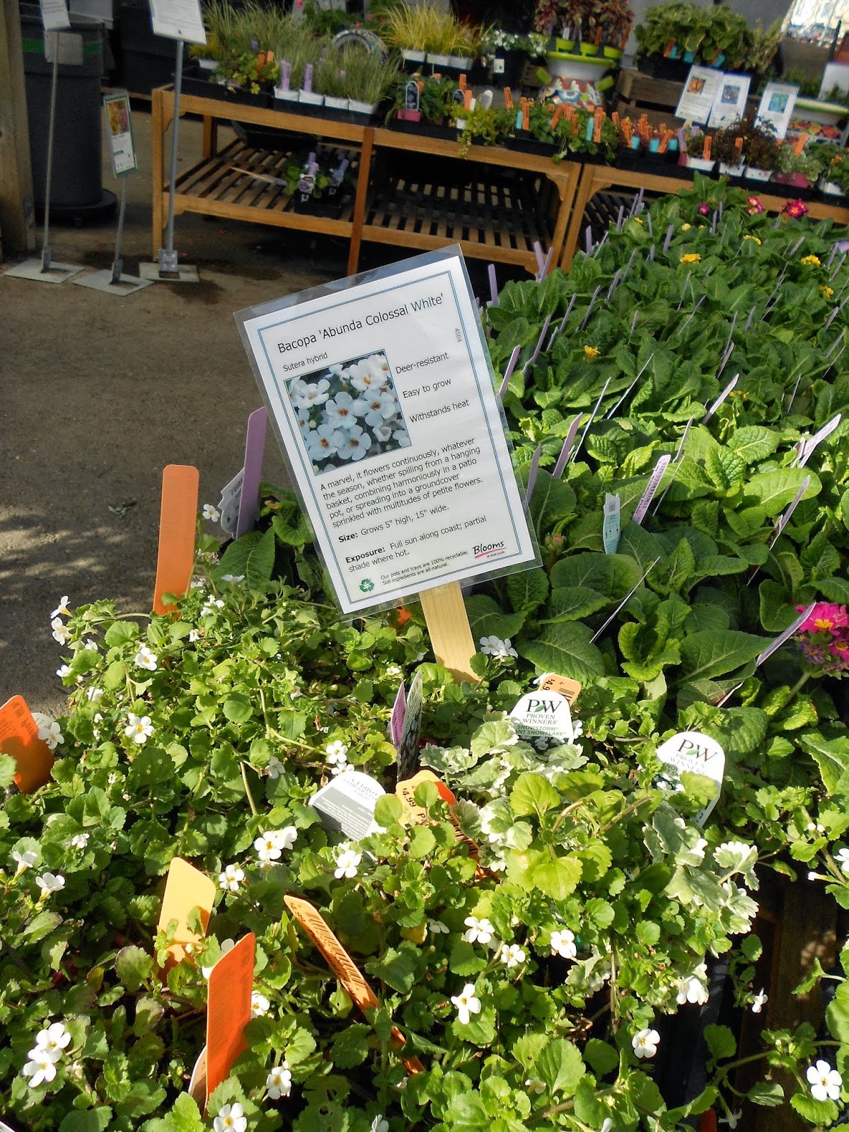 PRINTS Sensory Garden