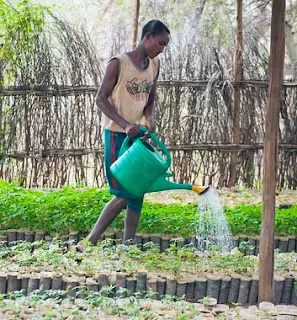 Agriculture is an important economic activity in Somalia