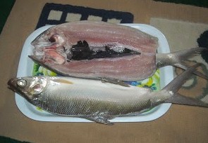 Cara Pembuatan Bandeng Tanpa Duri Ikan Dan Laut