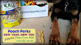 pooch perks dog subscription box treats