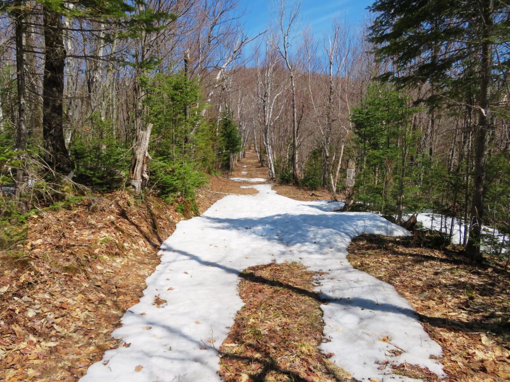Outdoor Diversion Hall's Ledge Trail and Hutmen's Trail Loop Hike