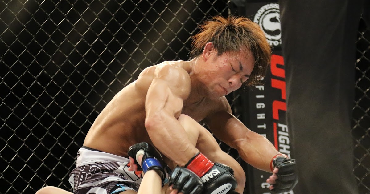 The 9 UFC Weight Classes - Wrestle MMA