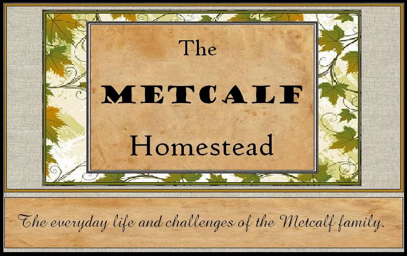 Metcalf Homestead