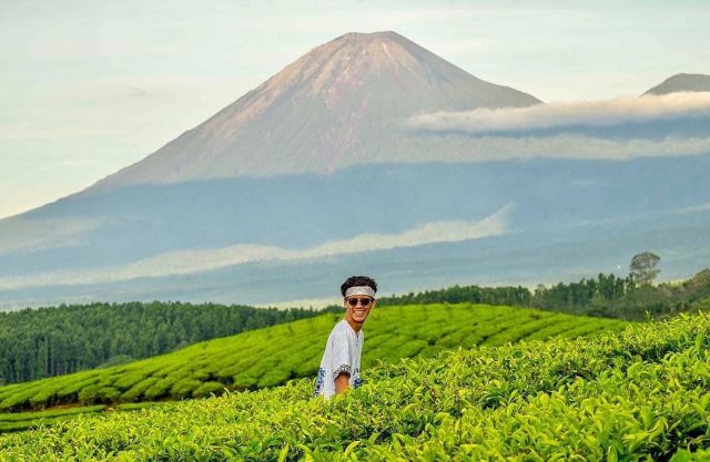Tempat Wisata di Lumajang Yang Menarik Dikunjungi