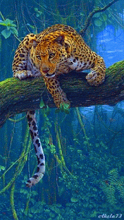Cute Tiger Animated GIF
