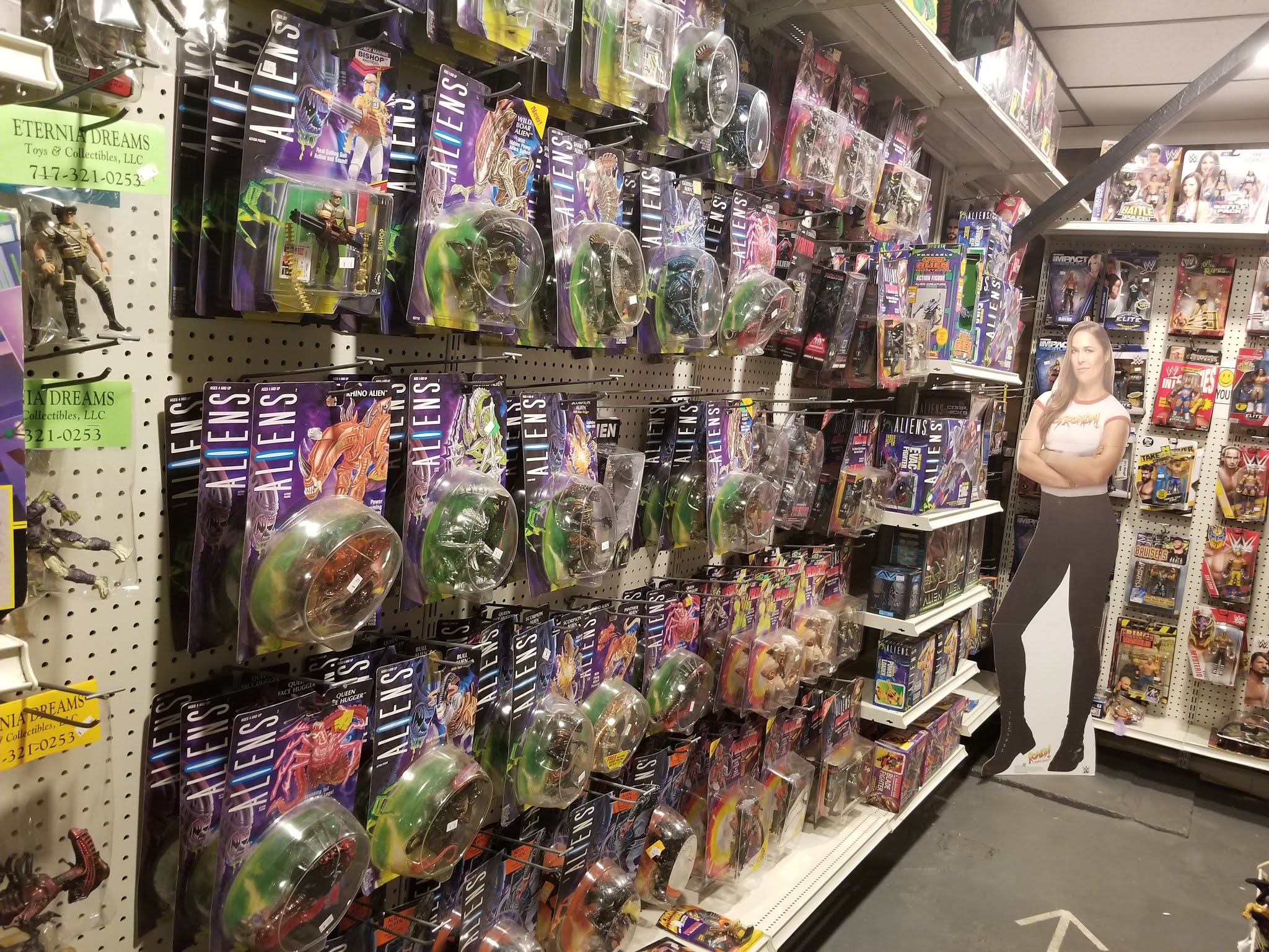 The Toy Box Eternia Dreams Vintage Toy Store