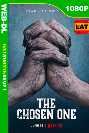 El elegido (Serie de TV) (2019) Latino WEB-DL 1080P (2019)