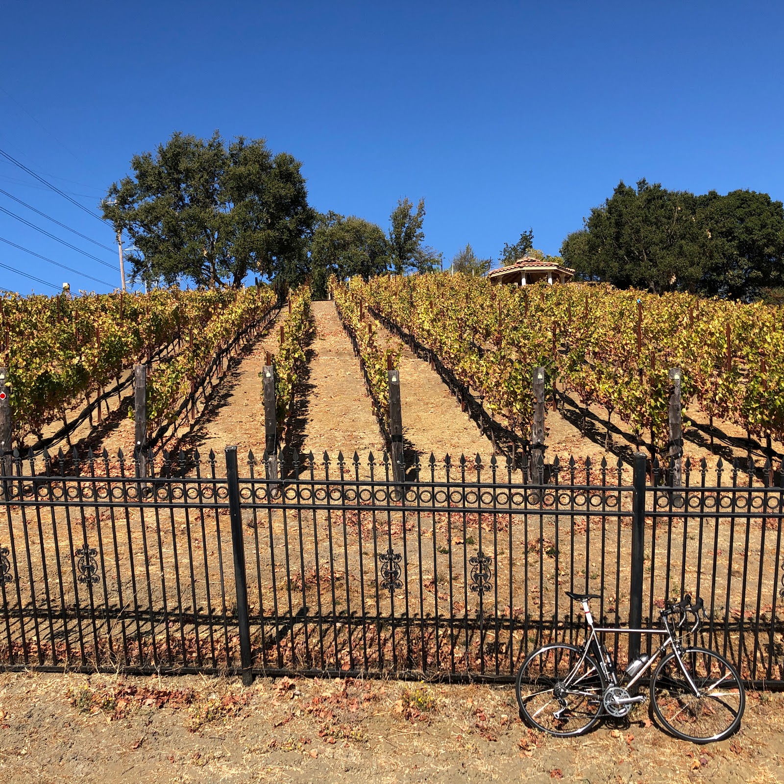 bike to the bay 2019