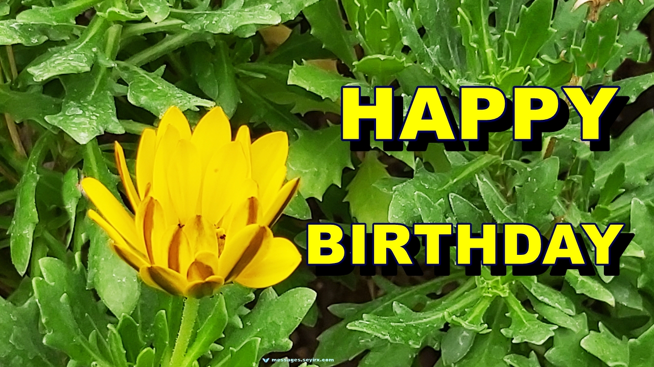 Happy Birthday flowers birthday cards HBDAY.ART