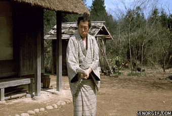 Znalezione obrazy dla zapytania kung-fu funny gif