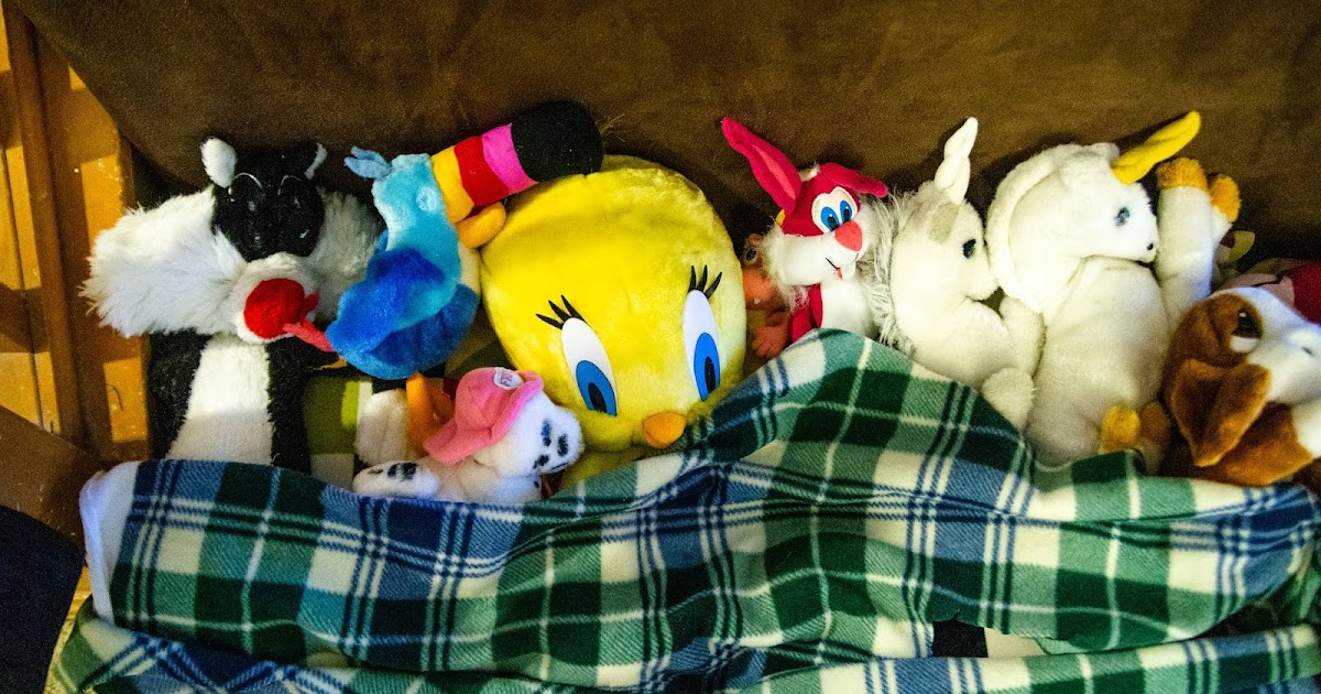 Stuffed Animal Rescue Christine's Camera