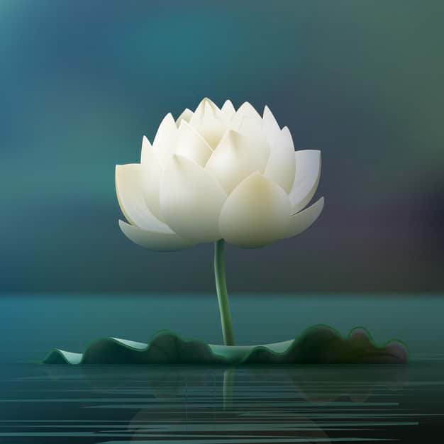 10 Lines on Lotus in Hindi Few Important Lines on Lotus Hindi