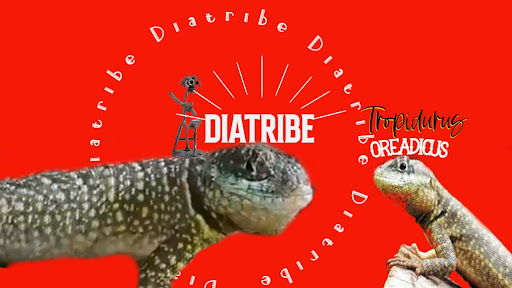 DIATRIBE