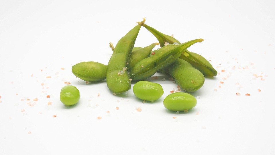 Edamame in Spanish Spanish to Go