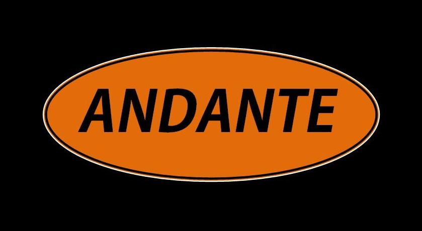 Andante Bikes