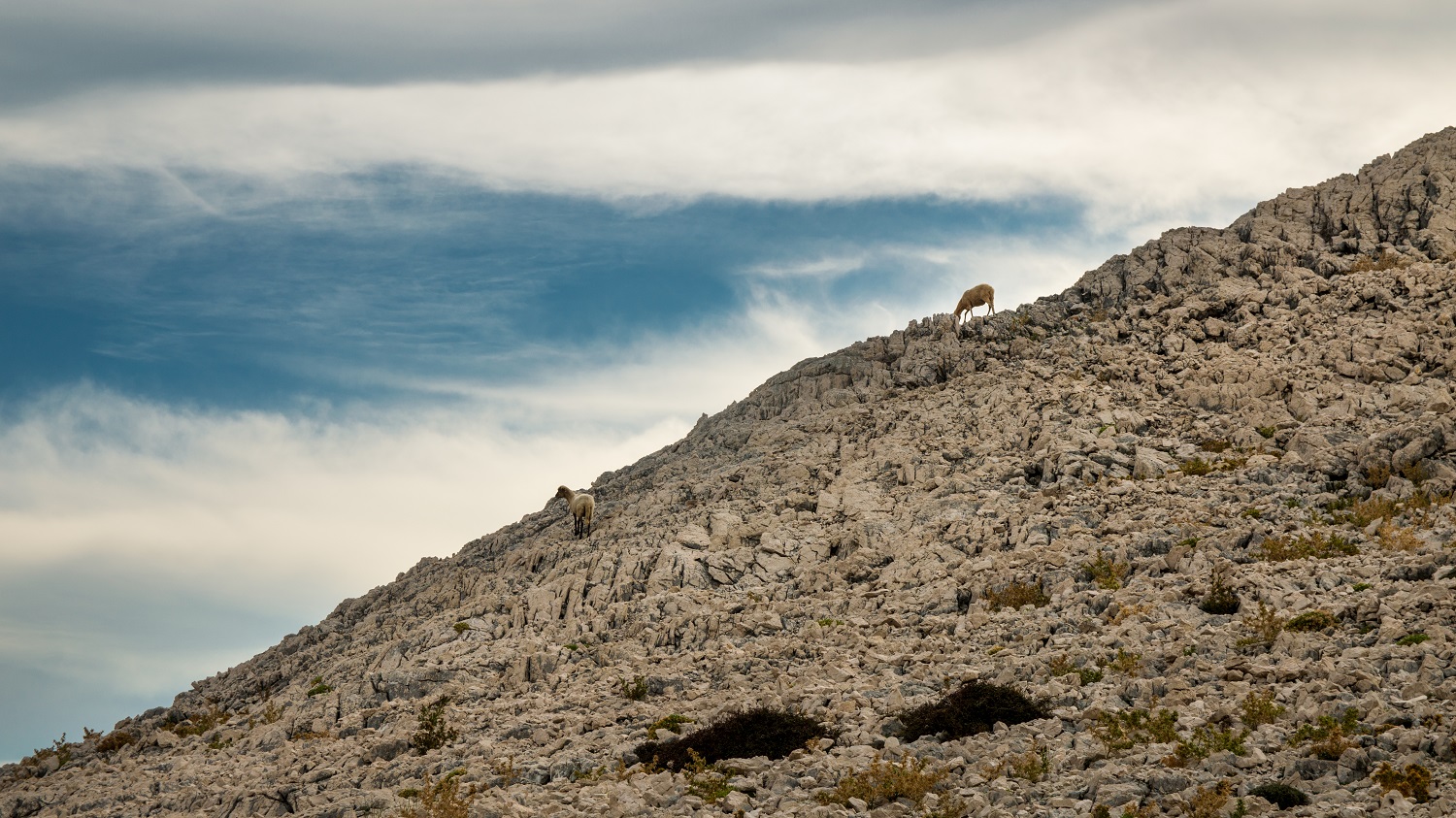 Trekking w Chorwacji - Metajna Wyspa Pag