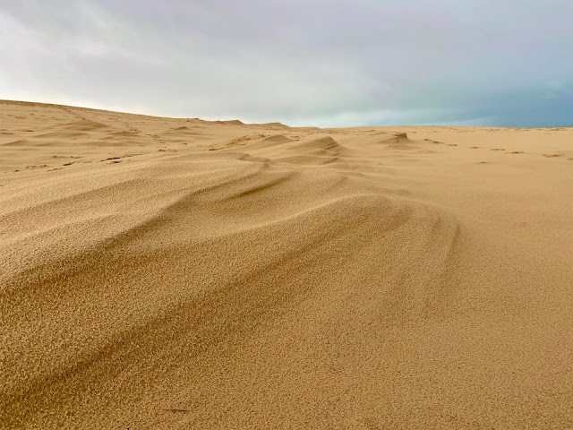 dune du pilat en famille