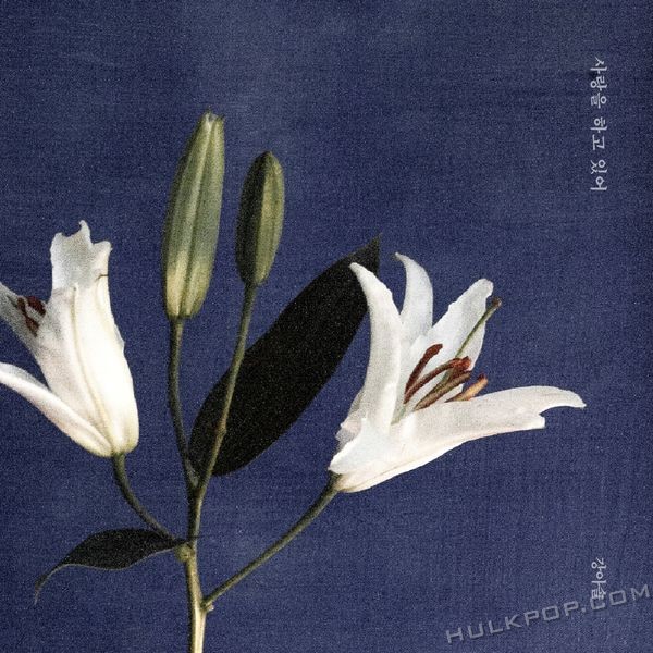 Kang Asol – I’m in Love – Single