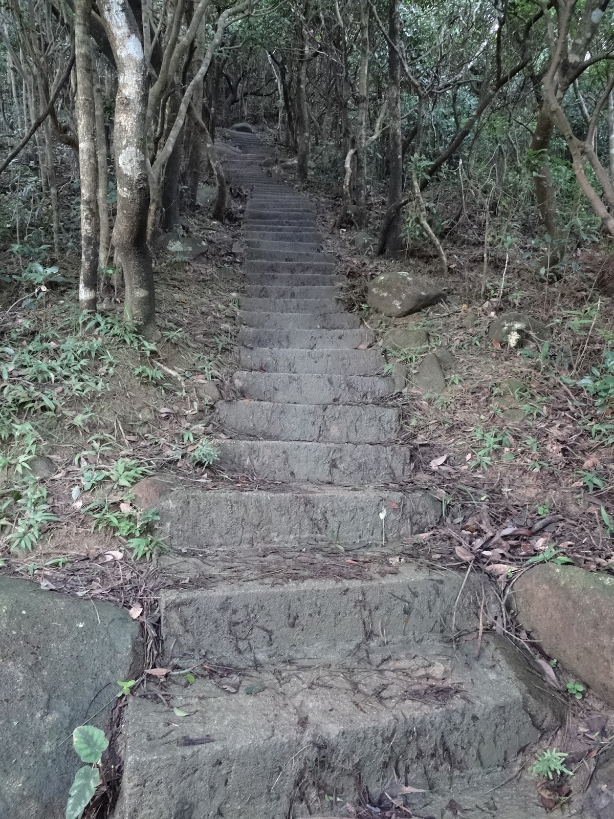 WEBS OF SIGNIFICANCE Sweating buckets while going along thousands of