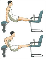 Dips avec les bras dans le dos Dips avec les bras dans le dos