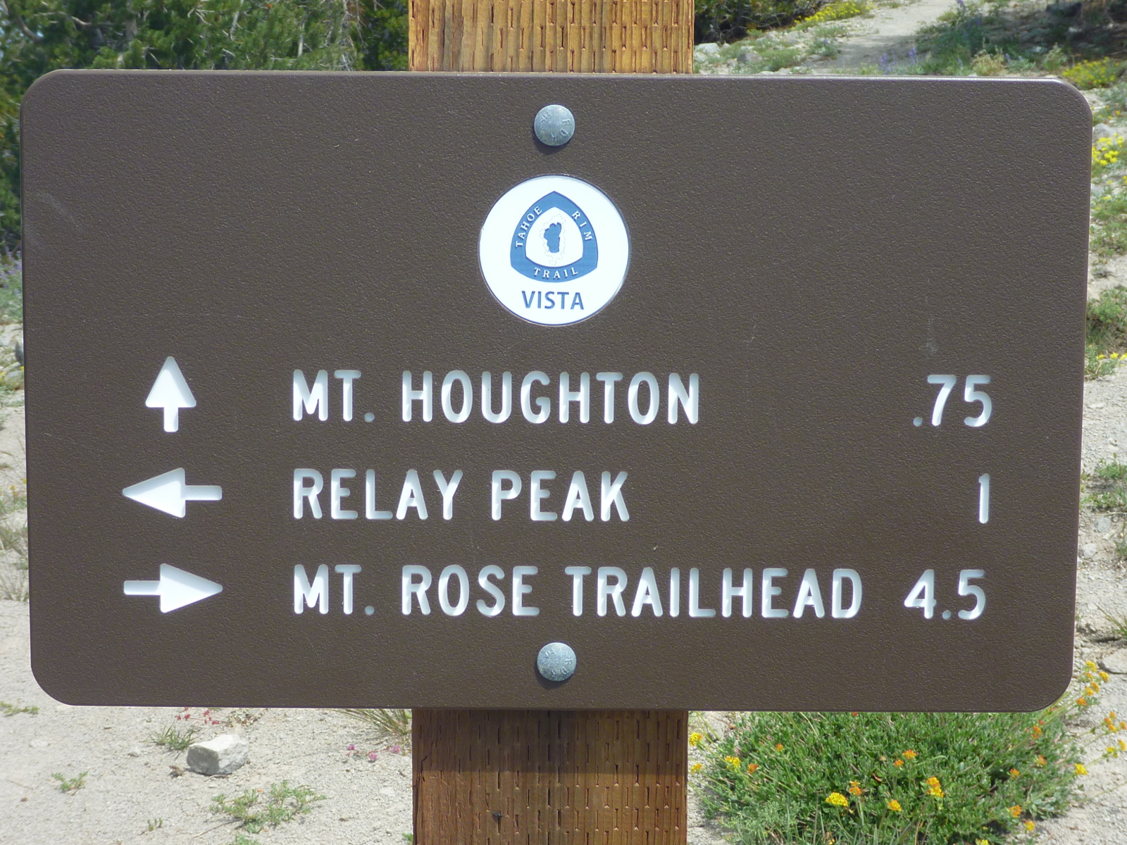 Trailing Ahead Mt. Houghton Trail